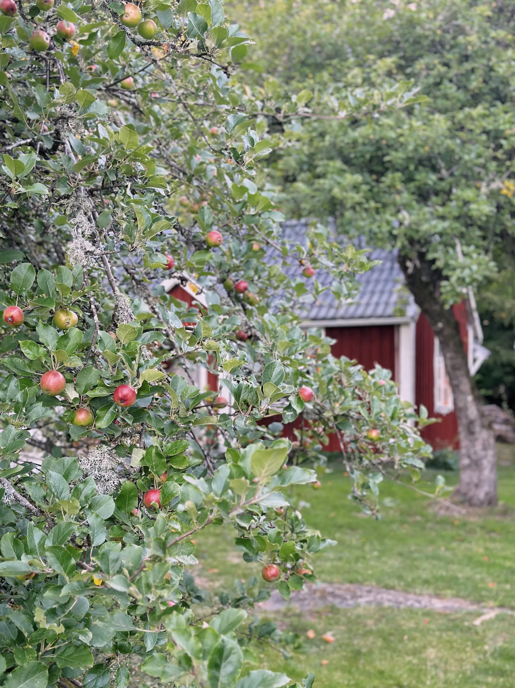 Fritidshus, Vasakullsvägen 26, Ronneby