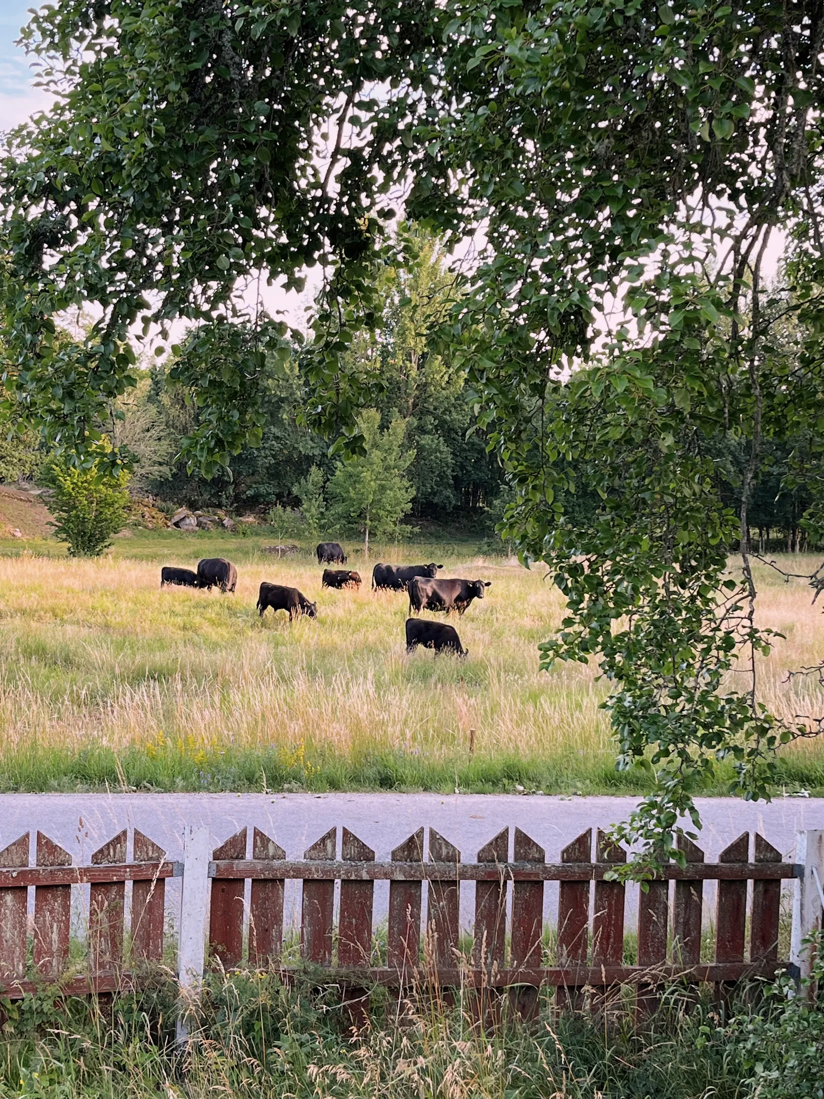 Fritidshus, Vasakullsvägen 26, Ronneby