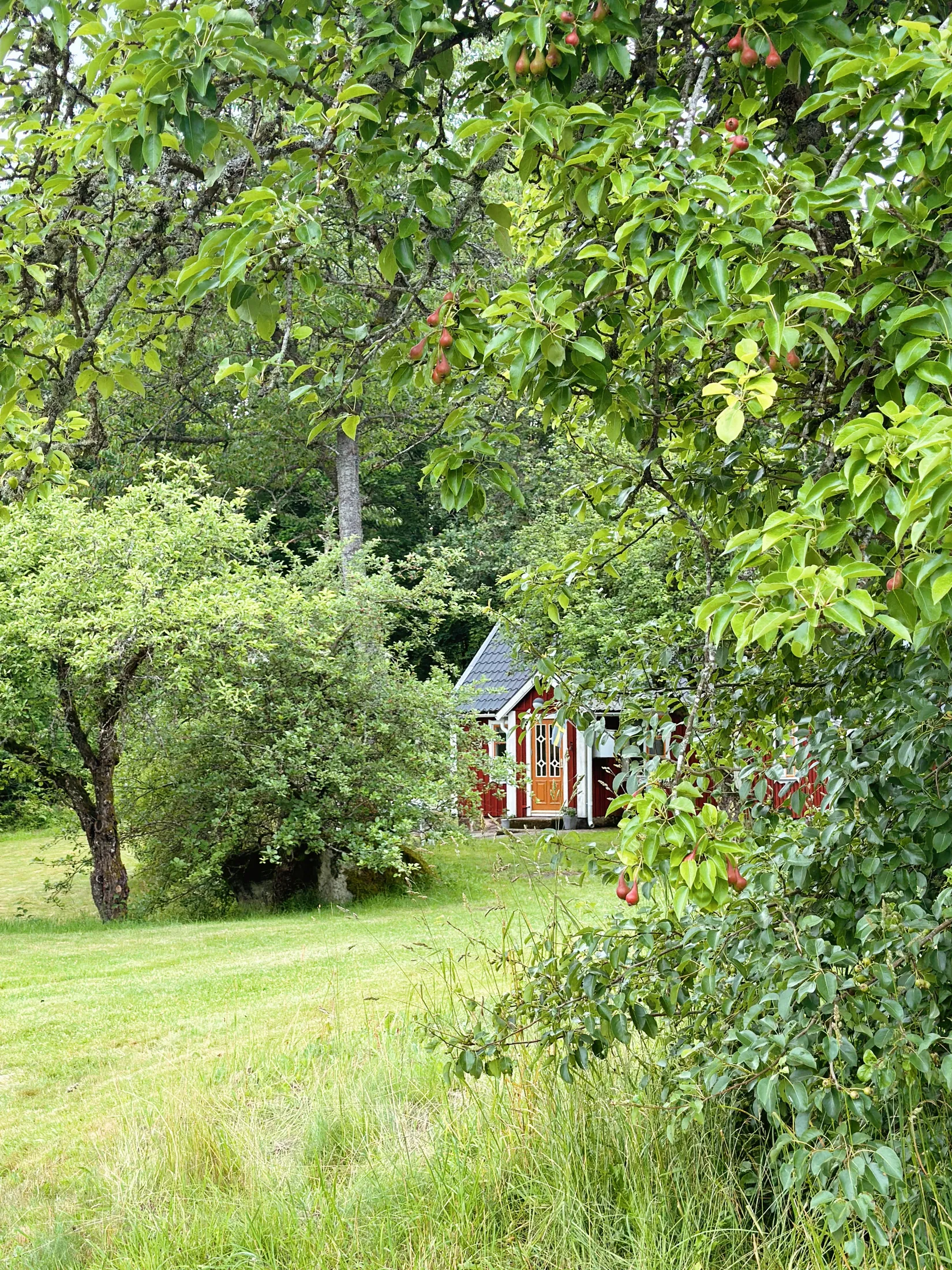 Fritidshus, Vasakullsvägen 26, Ronneby