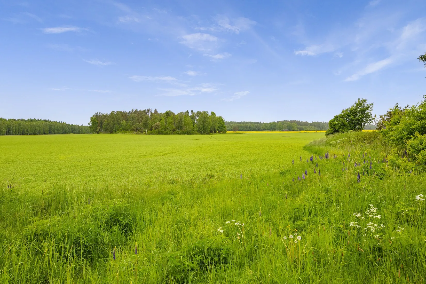 Villa, Täng Smedjebacken 1, Täng, Grästorp