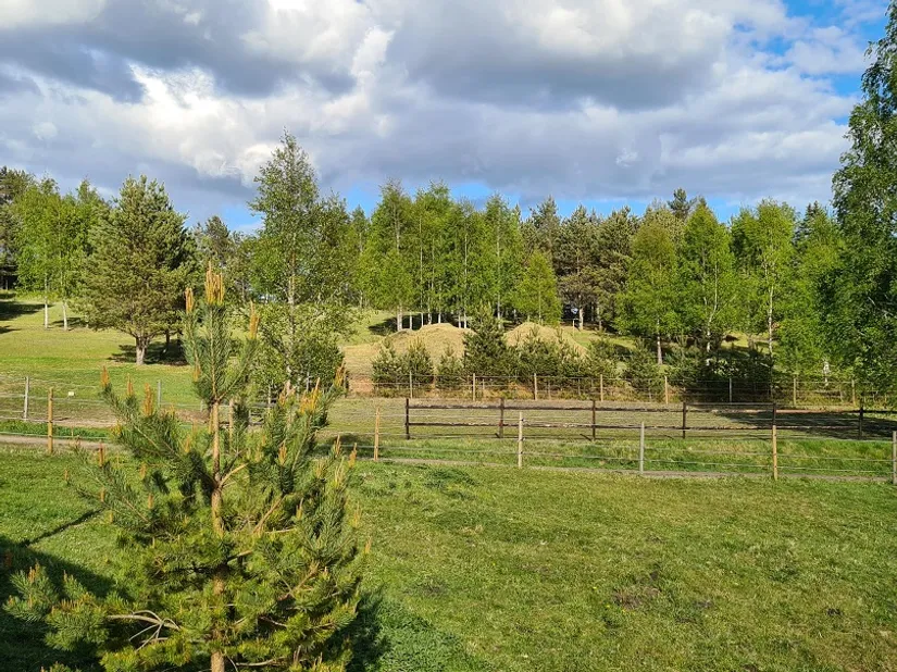 Villa, Lilla Blåhult 2, Tidaholm
