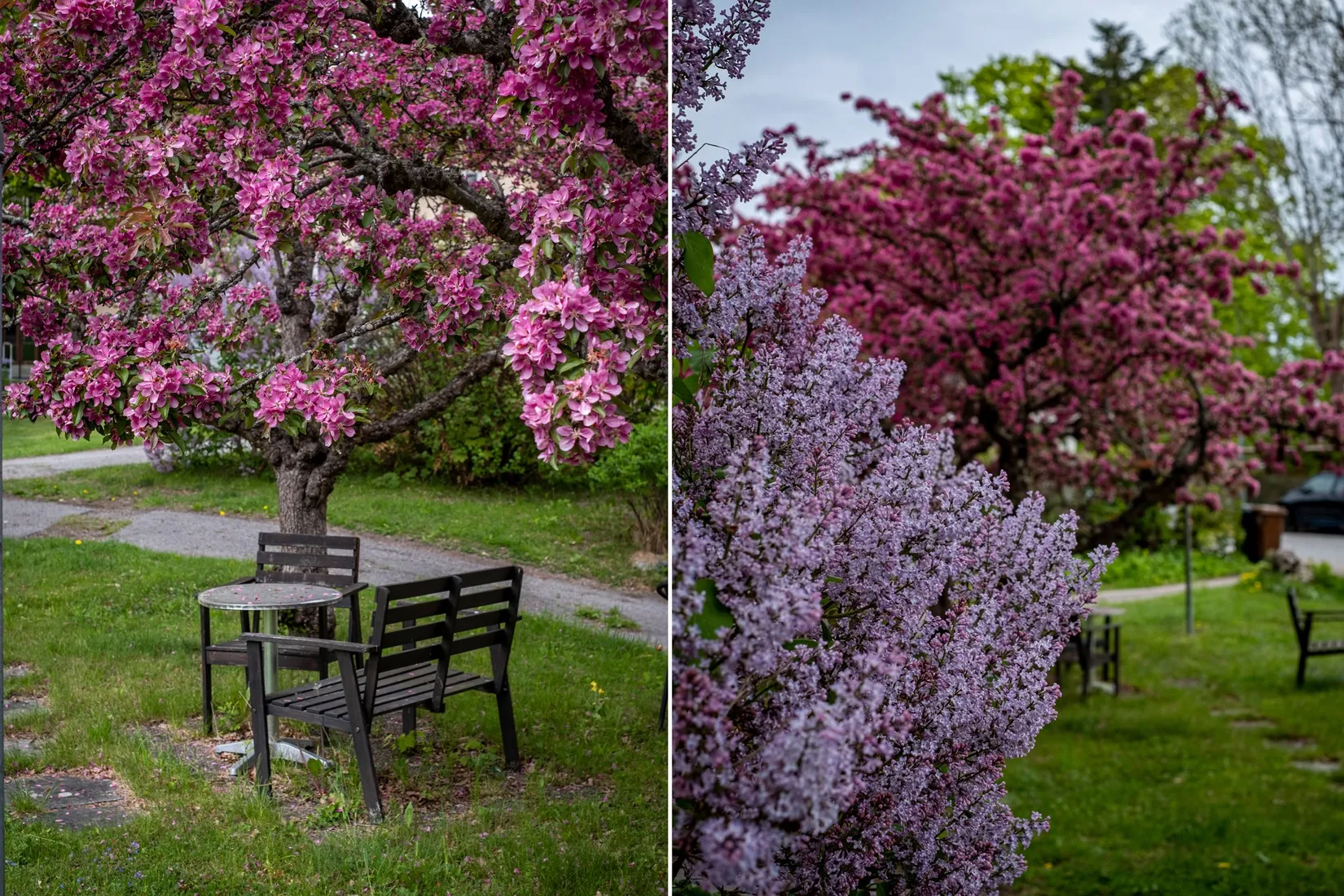 Bostadsrätt, Pilgatan 6A, Vaxön, Vaxholm