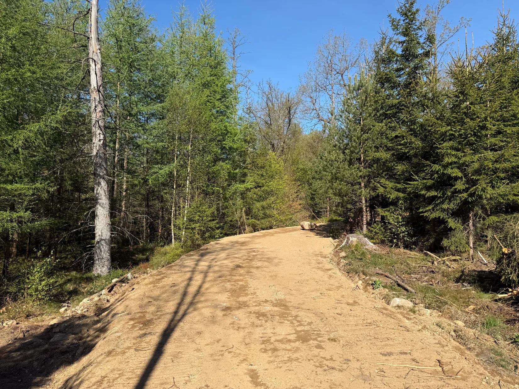 Gård/Skog, Bygg ditt hus här!, Boalt, Örkelljunga