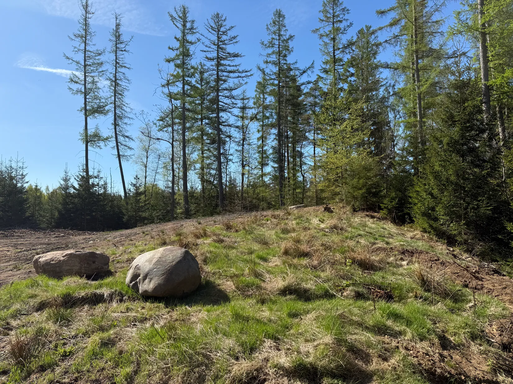 Gård/Skog, Bygg ditt hus här!, Boalt, Örkelljunga