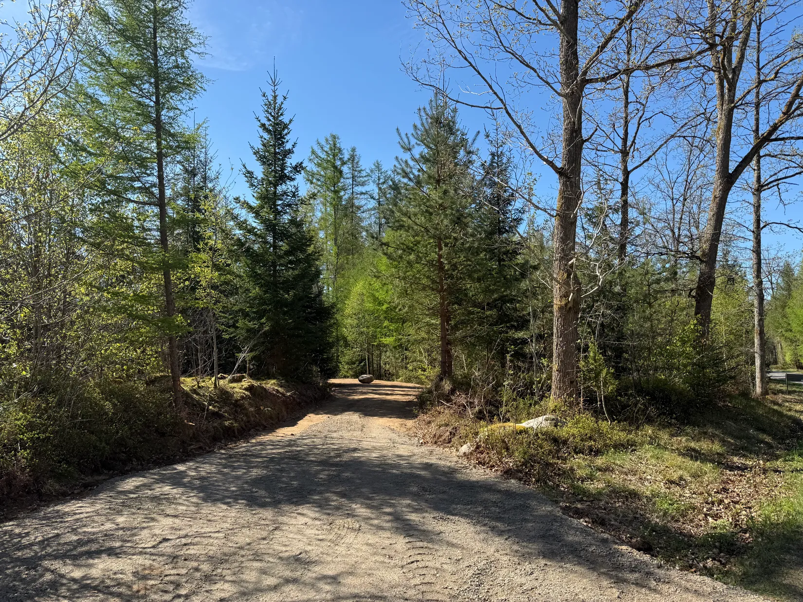 Gård/Skog, Bygg ditt hus här!, Boalt, Örkelljunga