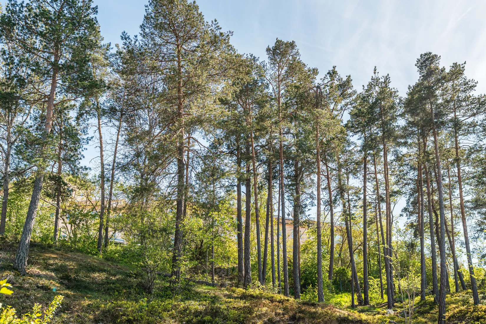 Bostadsrätt, Radhus, Skansbergsvägen 73, Segeltorp, Huddinge