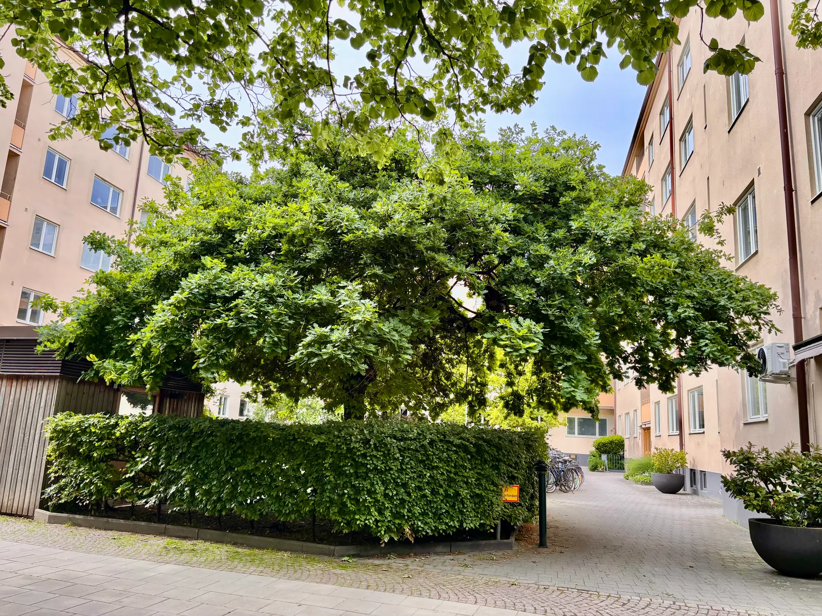 Bostadsrätt, Regementsgatan 27E, Slottsstaden, Malmö