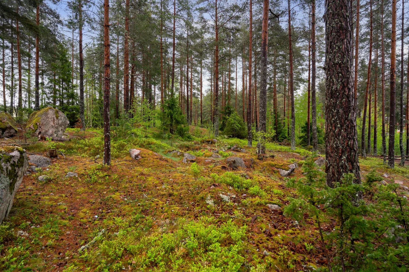 Bostadsrätt, Radhus, Morängatan 43D, Alsike, Knivsta