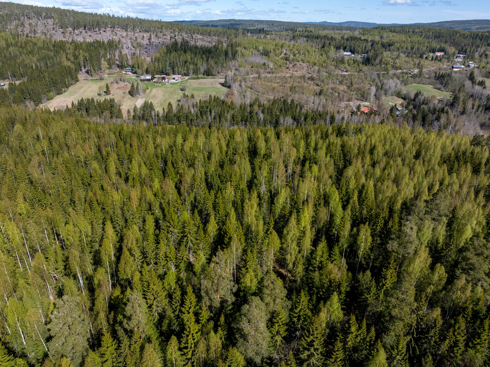 Gård/Skog, Sundsvall Lillro 1:45, Lillro, Sundsvall