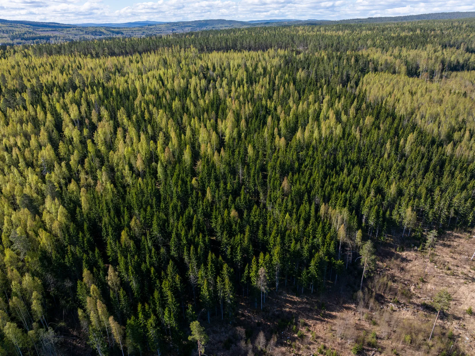 Gård/Skog, Sundsvall Lillro 1:45, Lillro, Sundsvall
