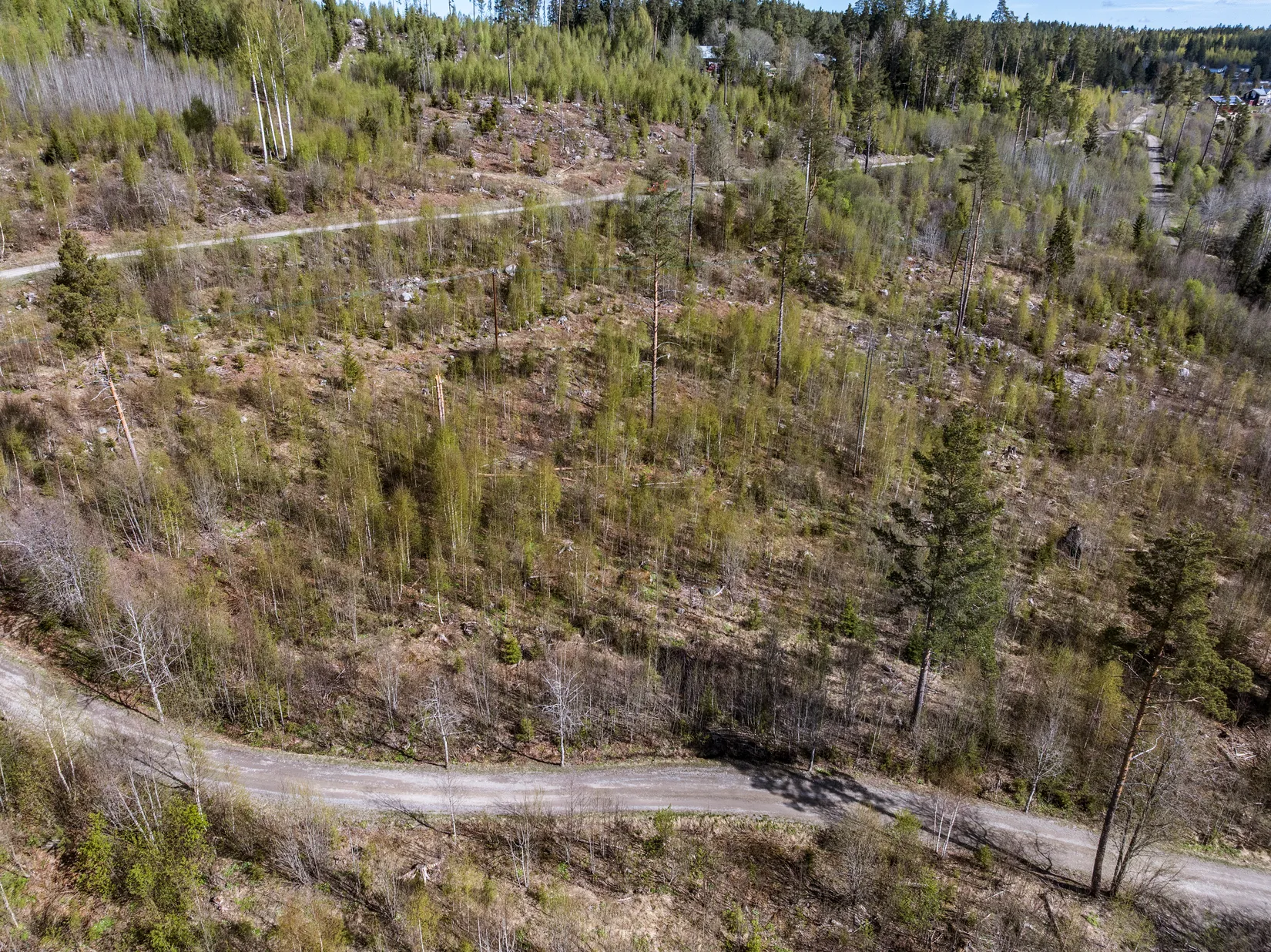 Gård/Skog, Sundsvall Lillro 1:45, Lillro, Sundsvall