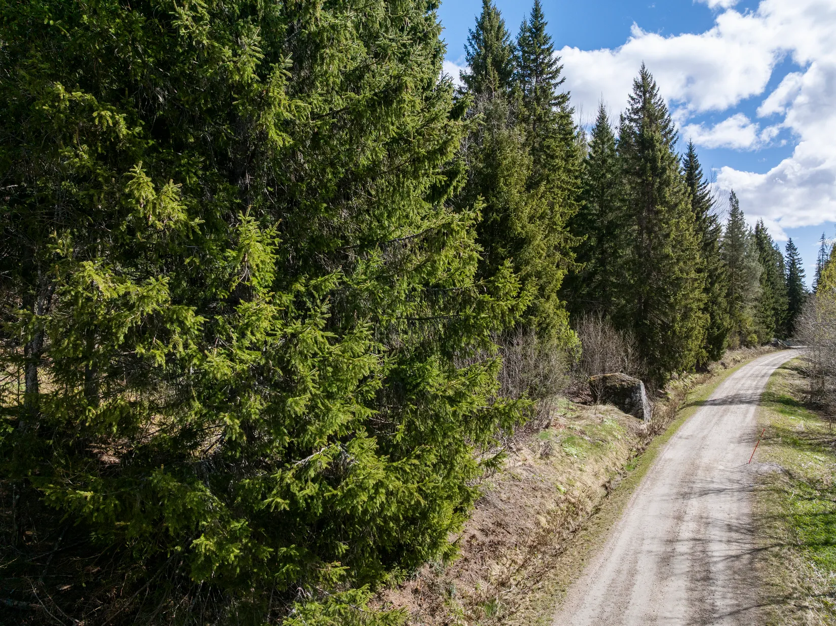 Gård/Skog, Sundsvall Lillro 1:45, Lillro, Sundsvall