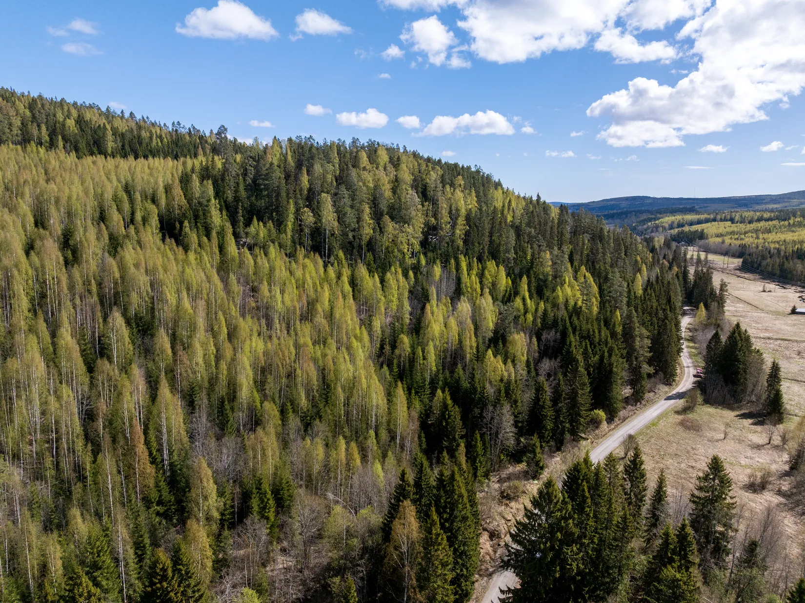 Gård/Skog, Sundsvall Lillro 1:45, Lillro, Sundsvall