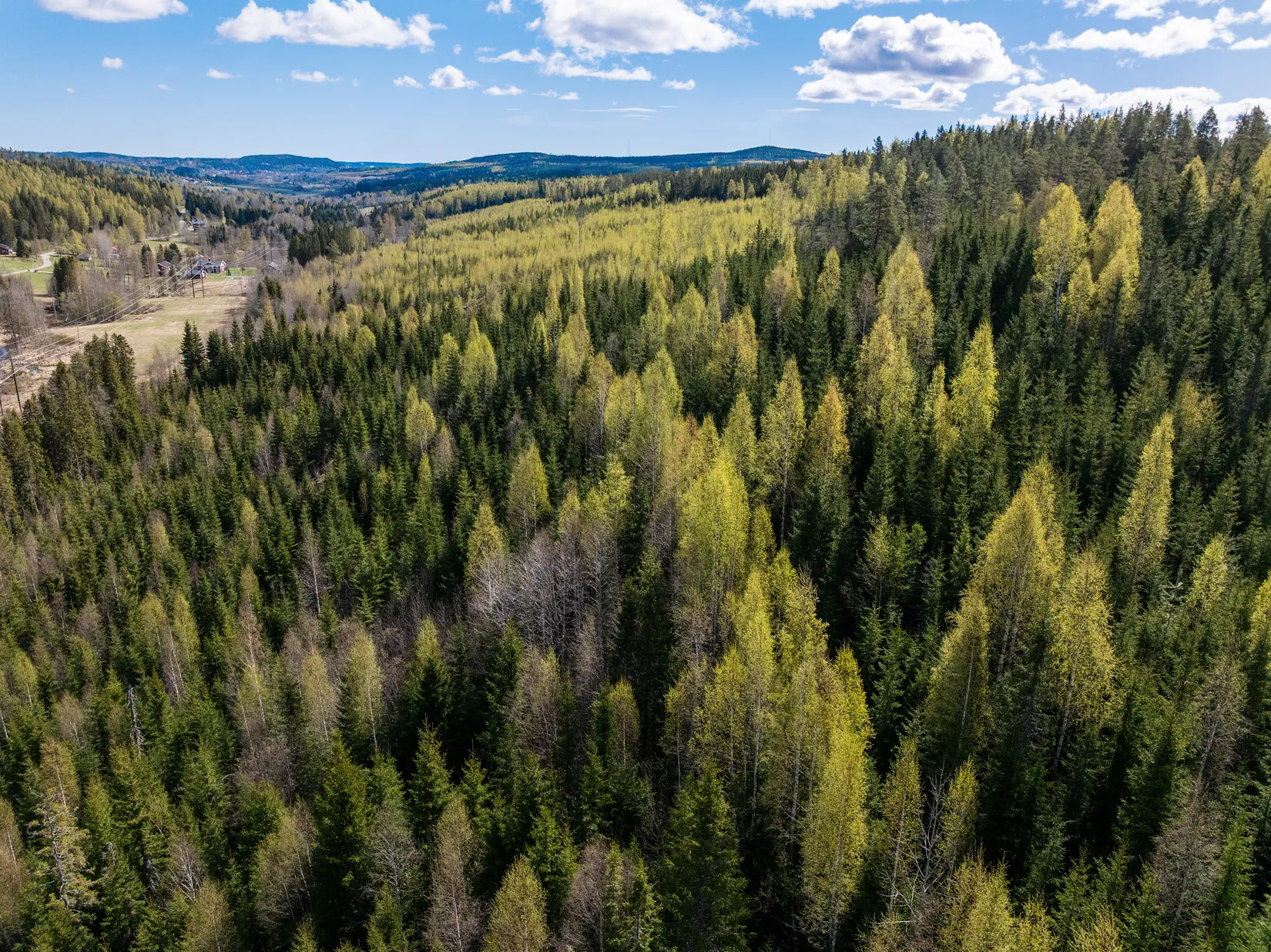Gård/Skog, Sundsvall Lillro 1:45, Lillro, Sundsvall