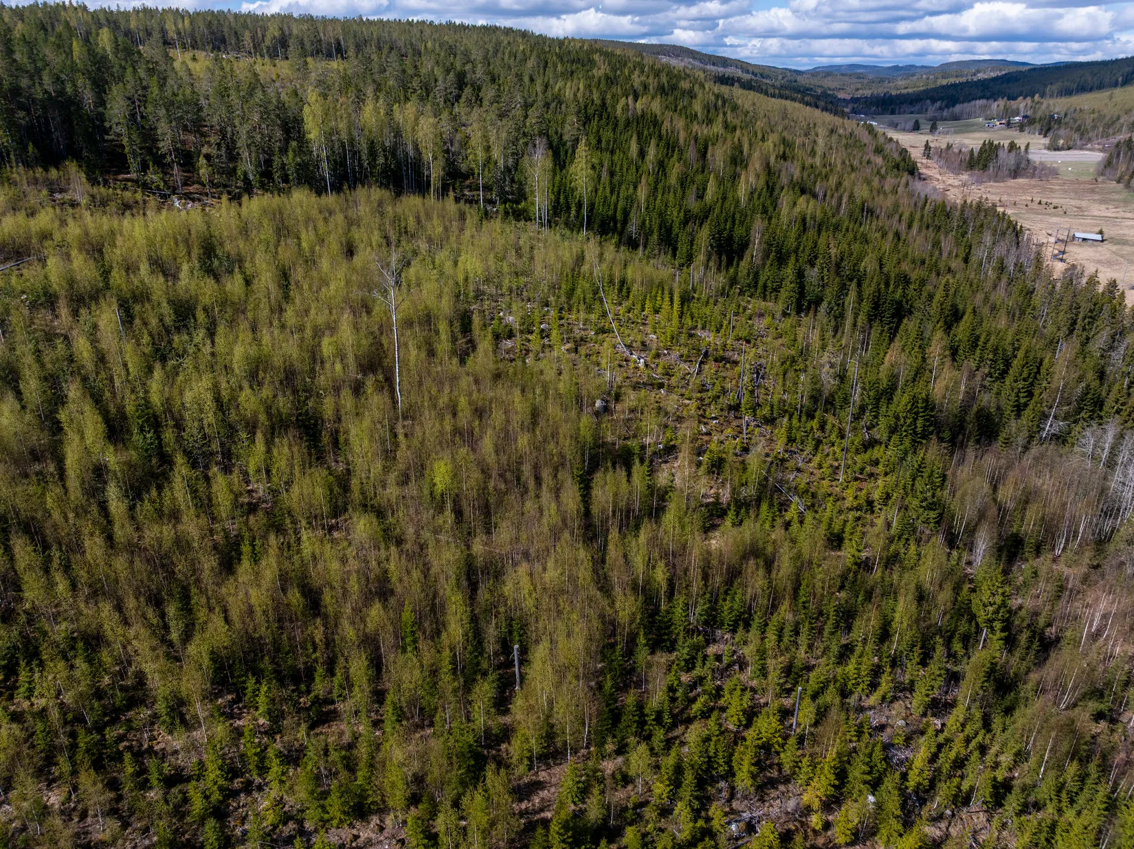 Gård/Skog, Sundsvall Lillro 1:45, Lillro, Sundsvall