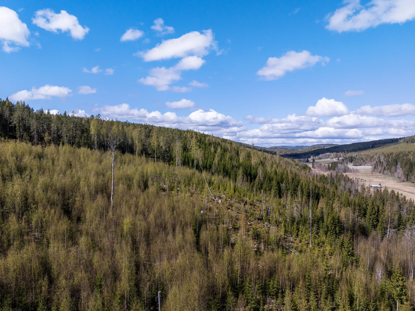 Gård/Skog, Sundsvall Lillro 1:45, Lillro, Sundsvall