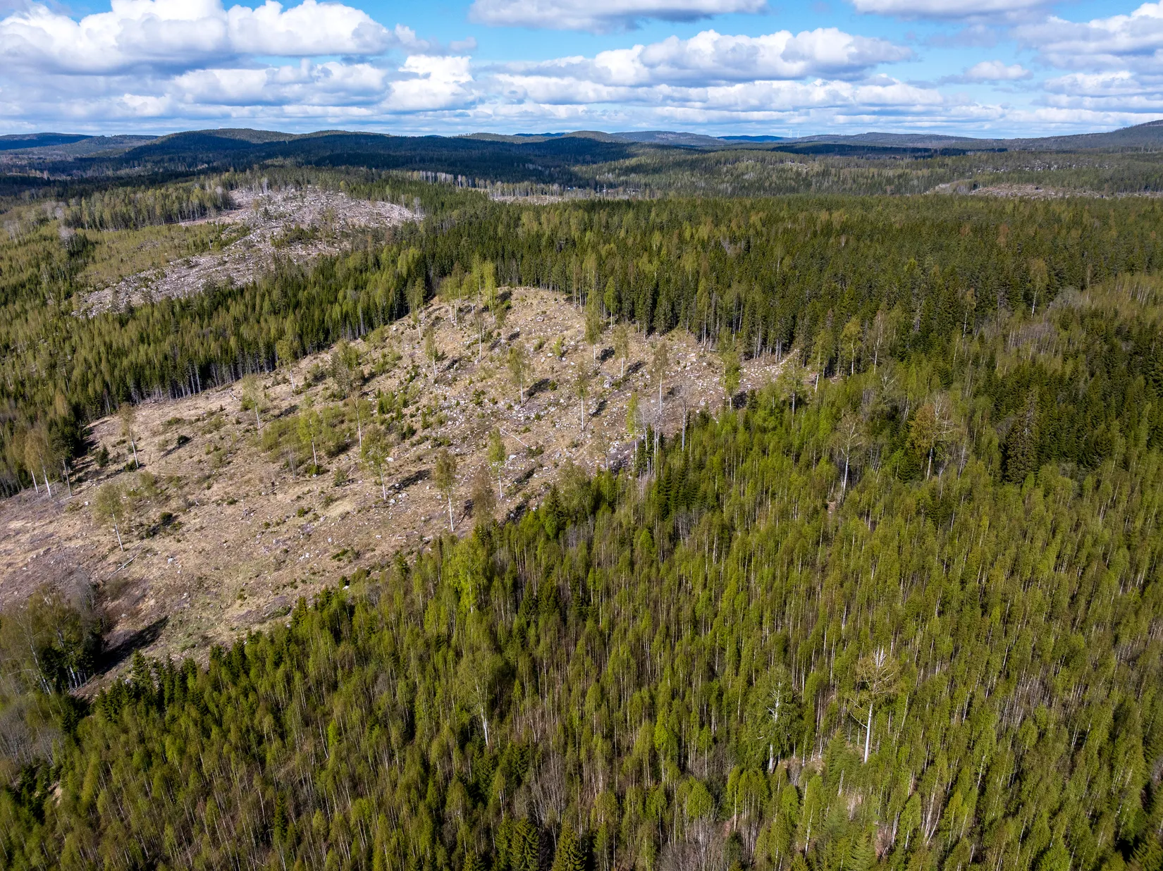 Gård/Skog, Sundsvall Lillro 1:45, Lillro, Sundsvall