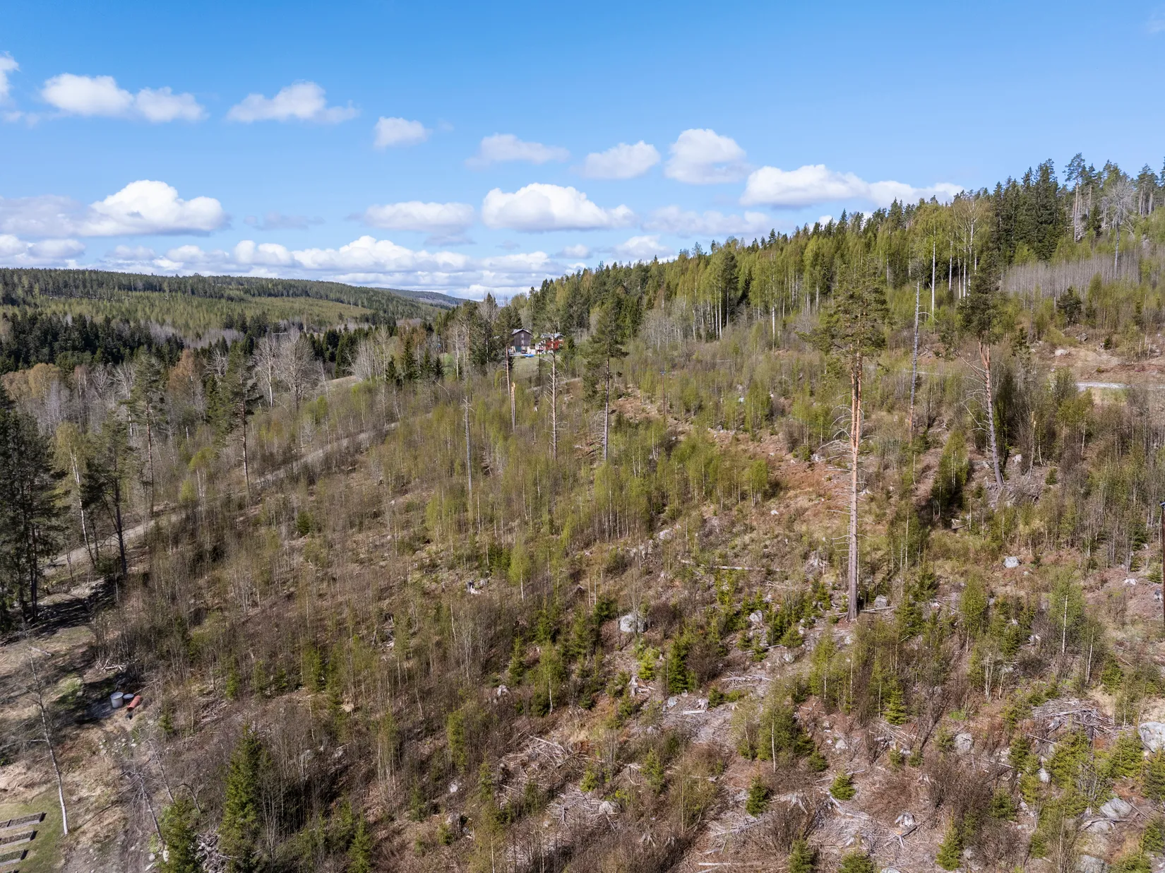 Gård/Skog, Sundsvall Lillro 1:45, Lillro, Sundsvall