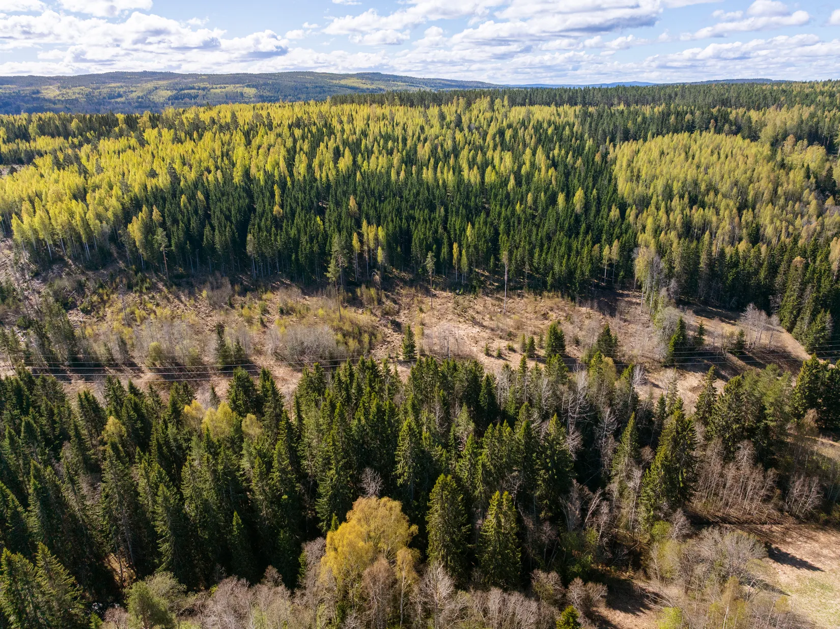 Gård/Skog, Sundsvall Lillro 1:45, Lillro, Sundsvall