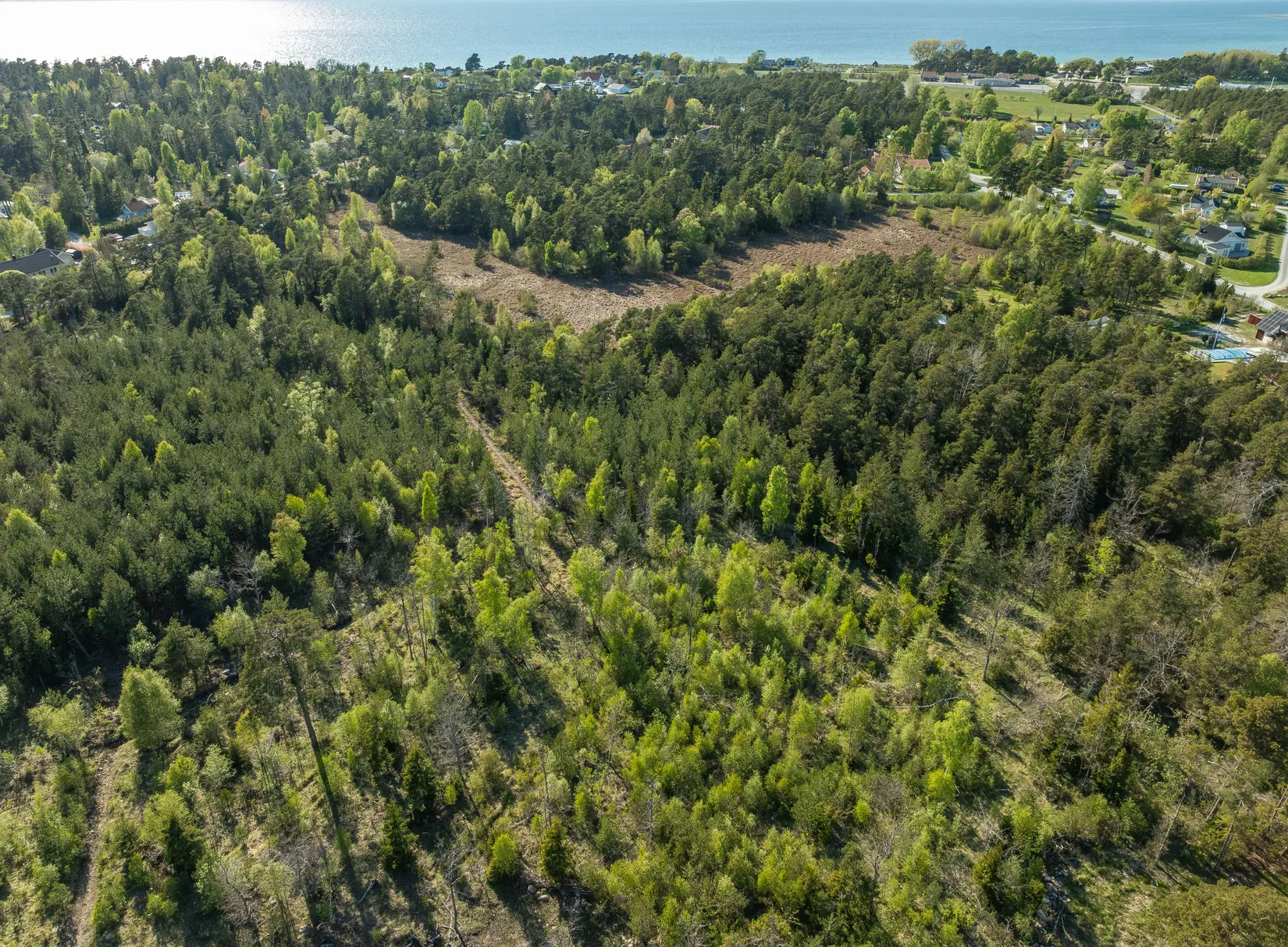 Gård/Skog, Gutebyvägen / Brandvägen, Tofta, Gotland