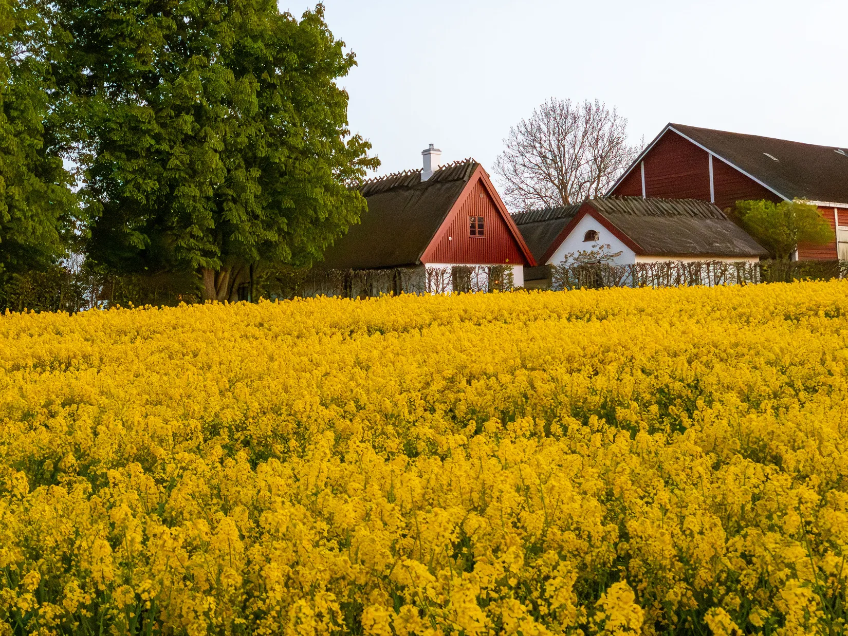 Villa, Dalhemsvägen 143-39, Fuglie, Trelleborg