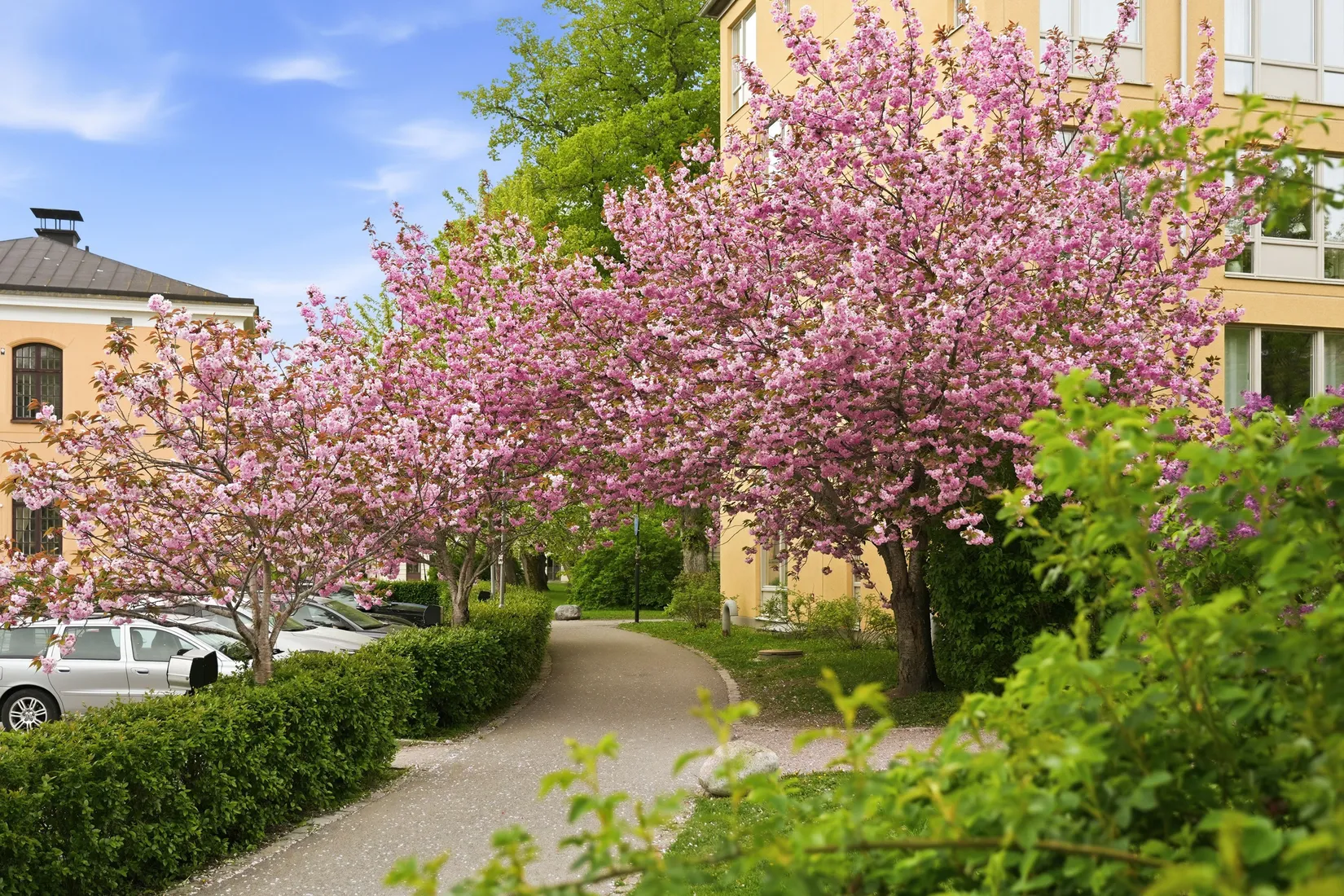Bostadsrätt, Gustaf Kjellbergs väg 3B, Ulleråker, Uppsala