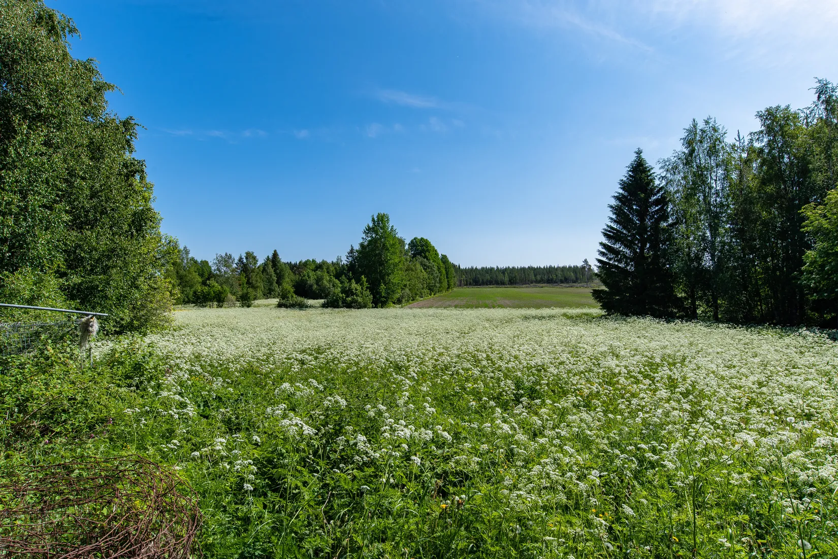 Villa, Anumark 423, Anumark, Umeå