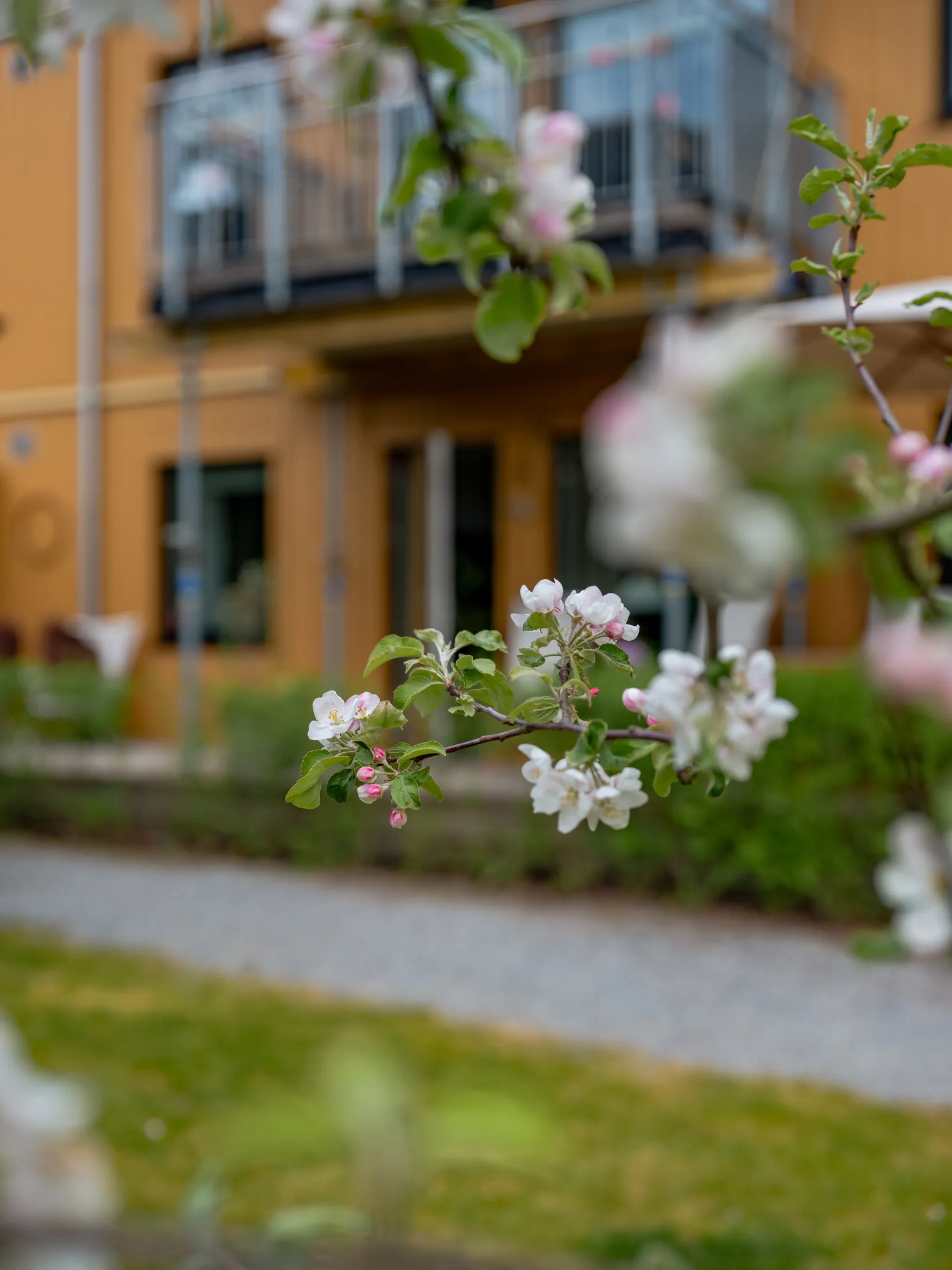 Bostadsrätt, Vällstavägen 6, Eds Allé, Upplands Väsby