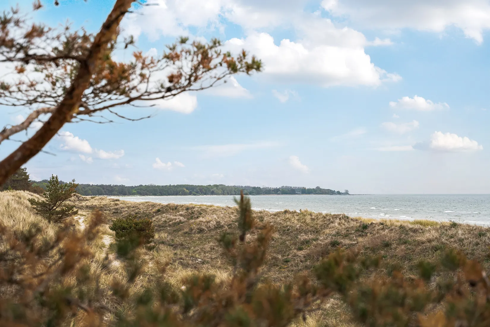 Villa, Curt Ols väg 14, Sandbacka, Simrishamn