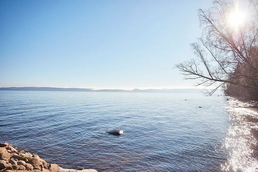 Bostadsrätt, Radhus, Sjöåkravägen 155, Bankeryd, Jönköping