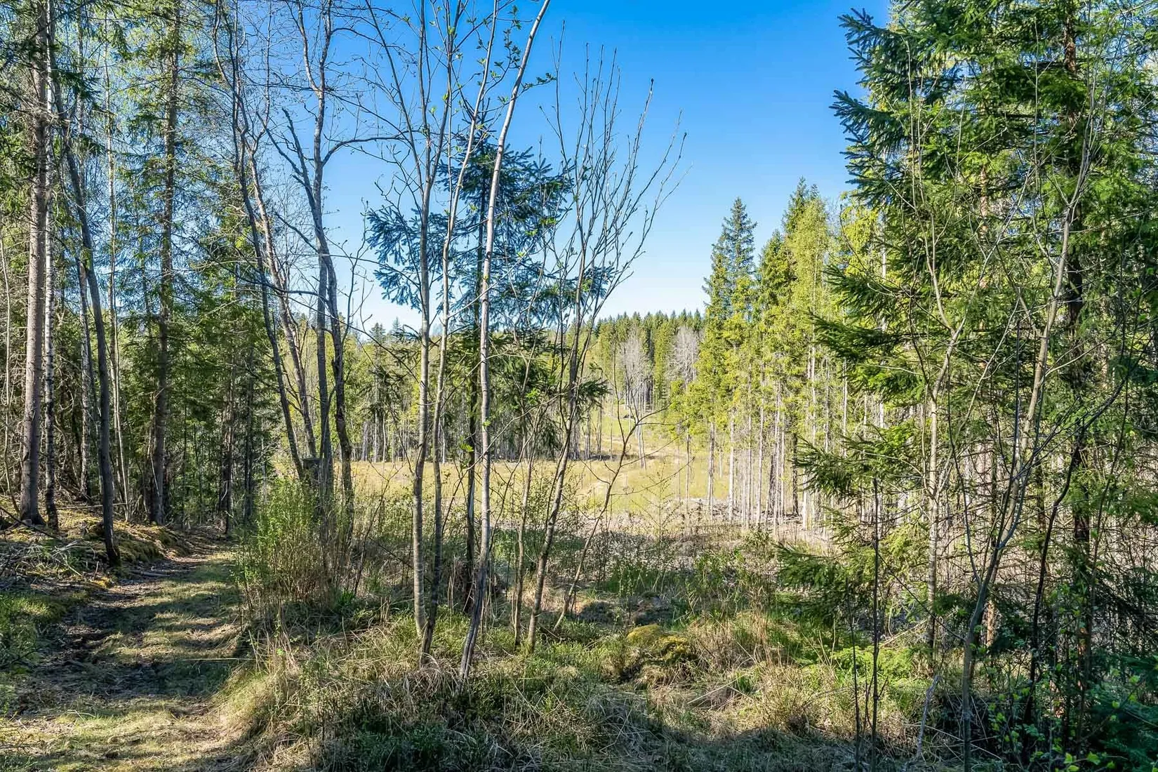 Fritidshus, Brittsandsvägen 41, Gonäs, Ludvika