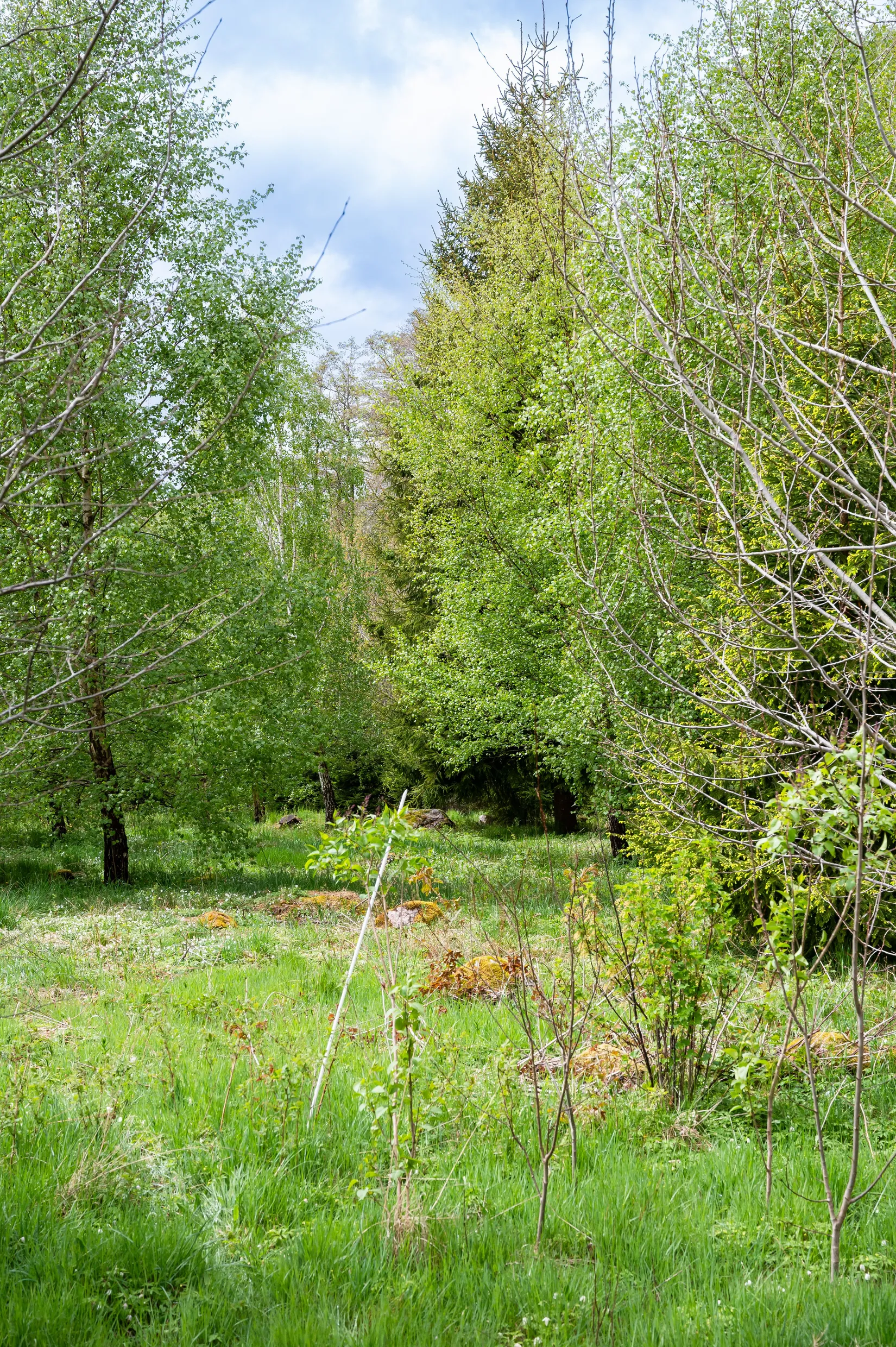Villa, Edsvära Lidafors 1, Edsvära, Vara