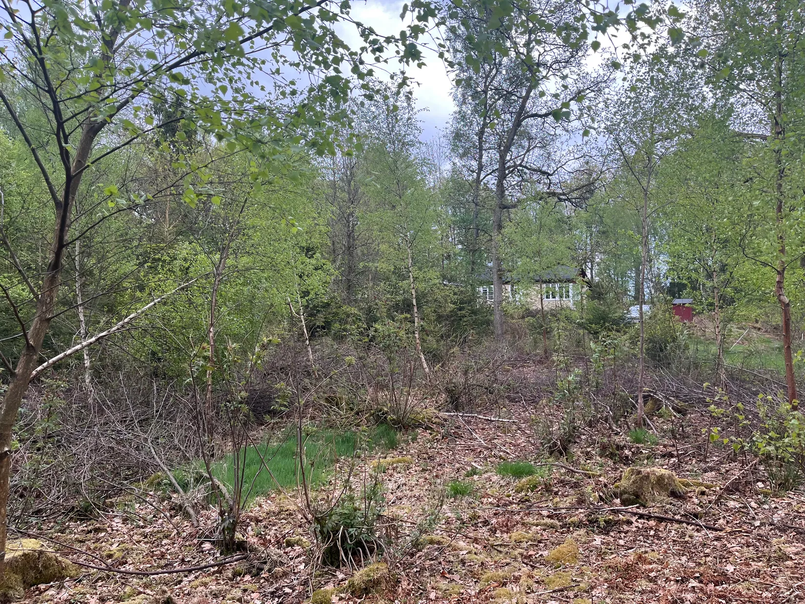 Fritidshus, Stenskogen 710, Stenskogen, Höör