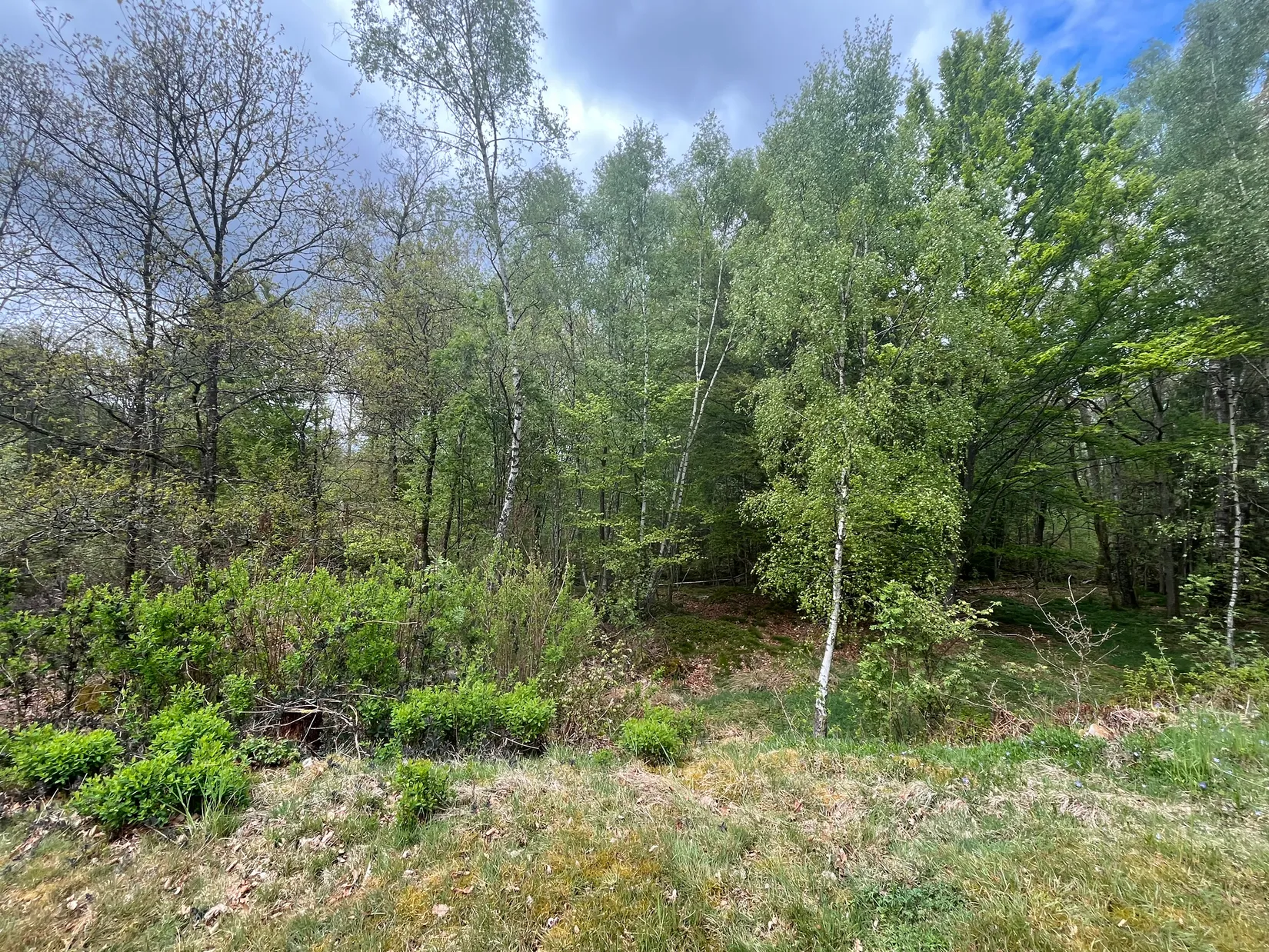 Fritidshus, Stenskogen 710, Stenskogen, Höör