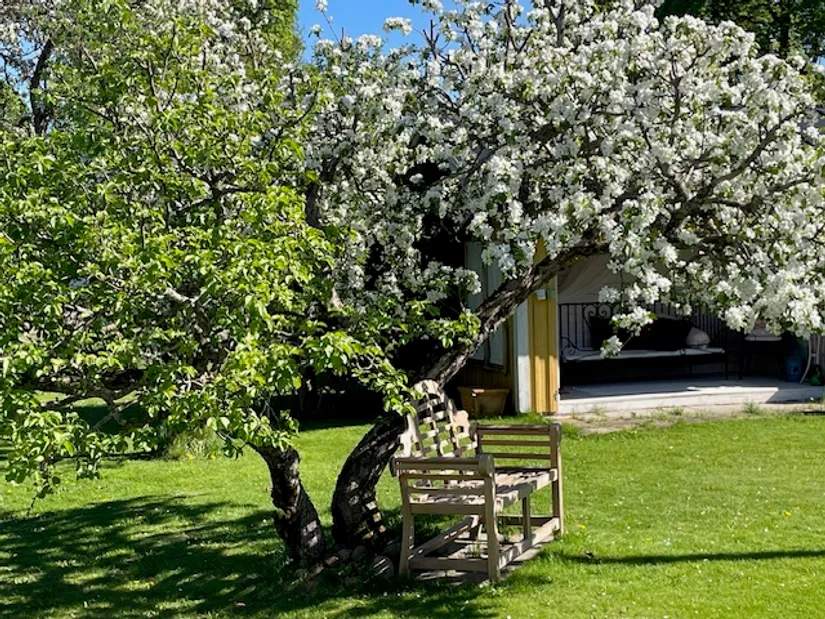 Gård/Skog, Källsby gård 6, Dala-Husby, Hedemora