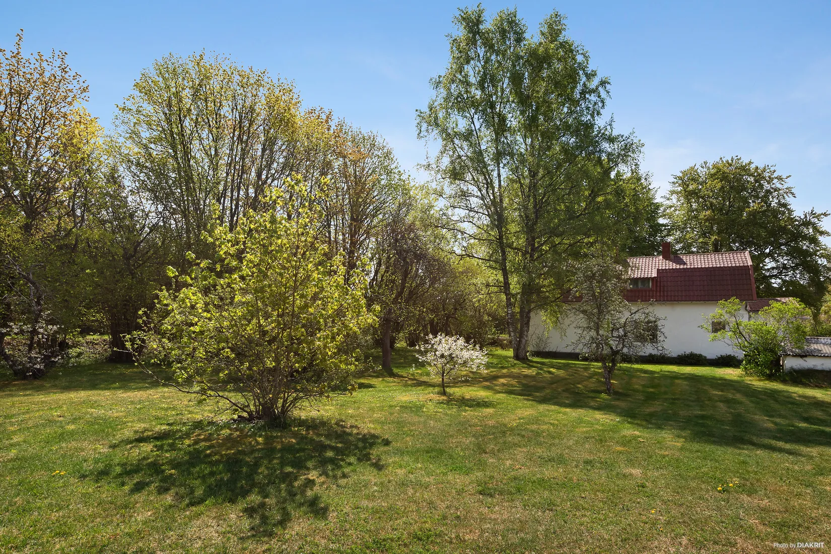 Gård/Skog, Havdhem Stora Almungs 146, Havdhem - Södra Gotland, Gotland