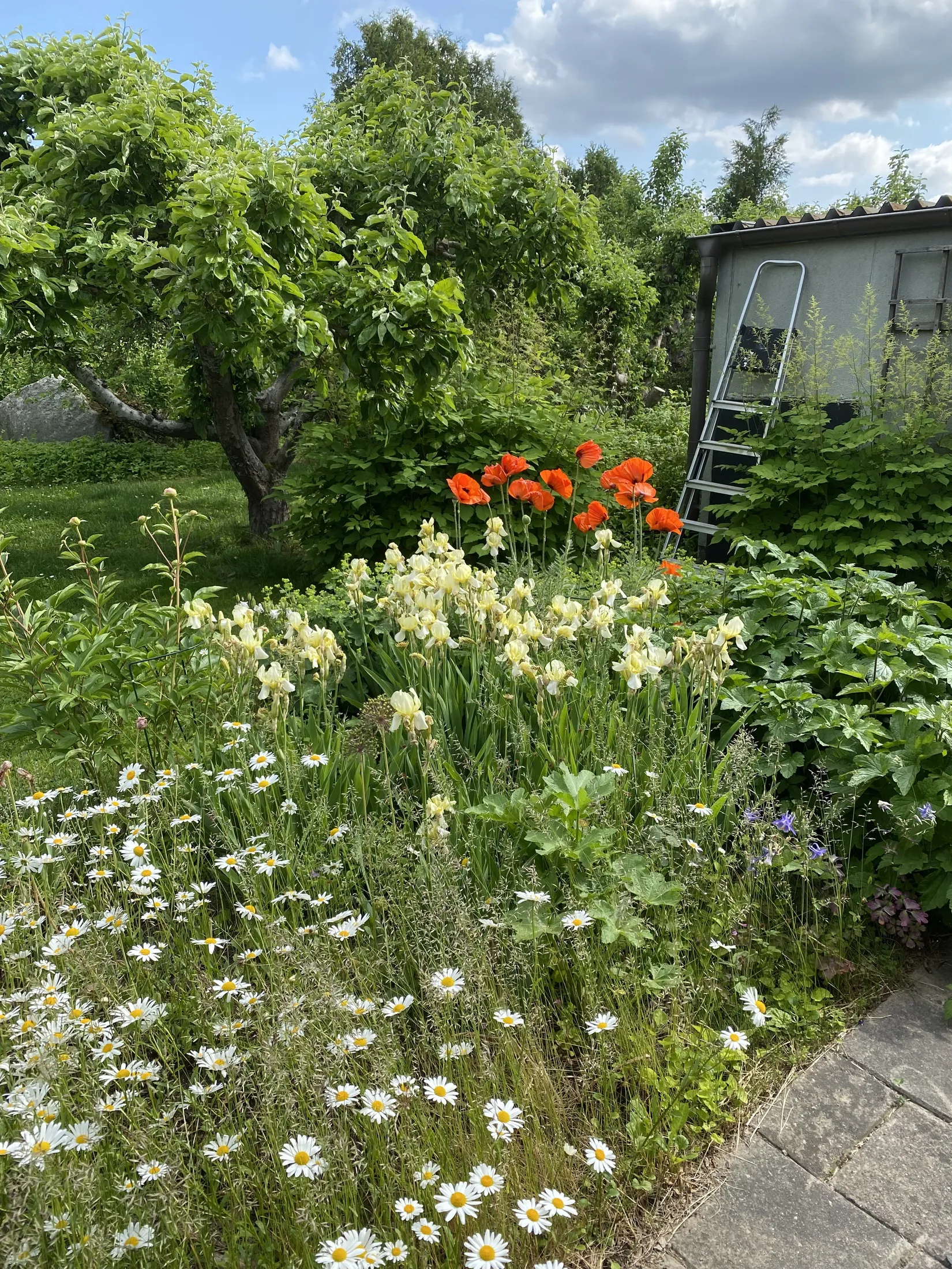 Villa, Slagrutevägen 6, Valsätra, Uppsala