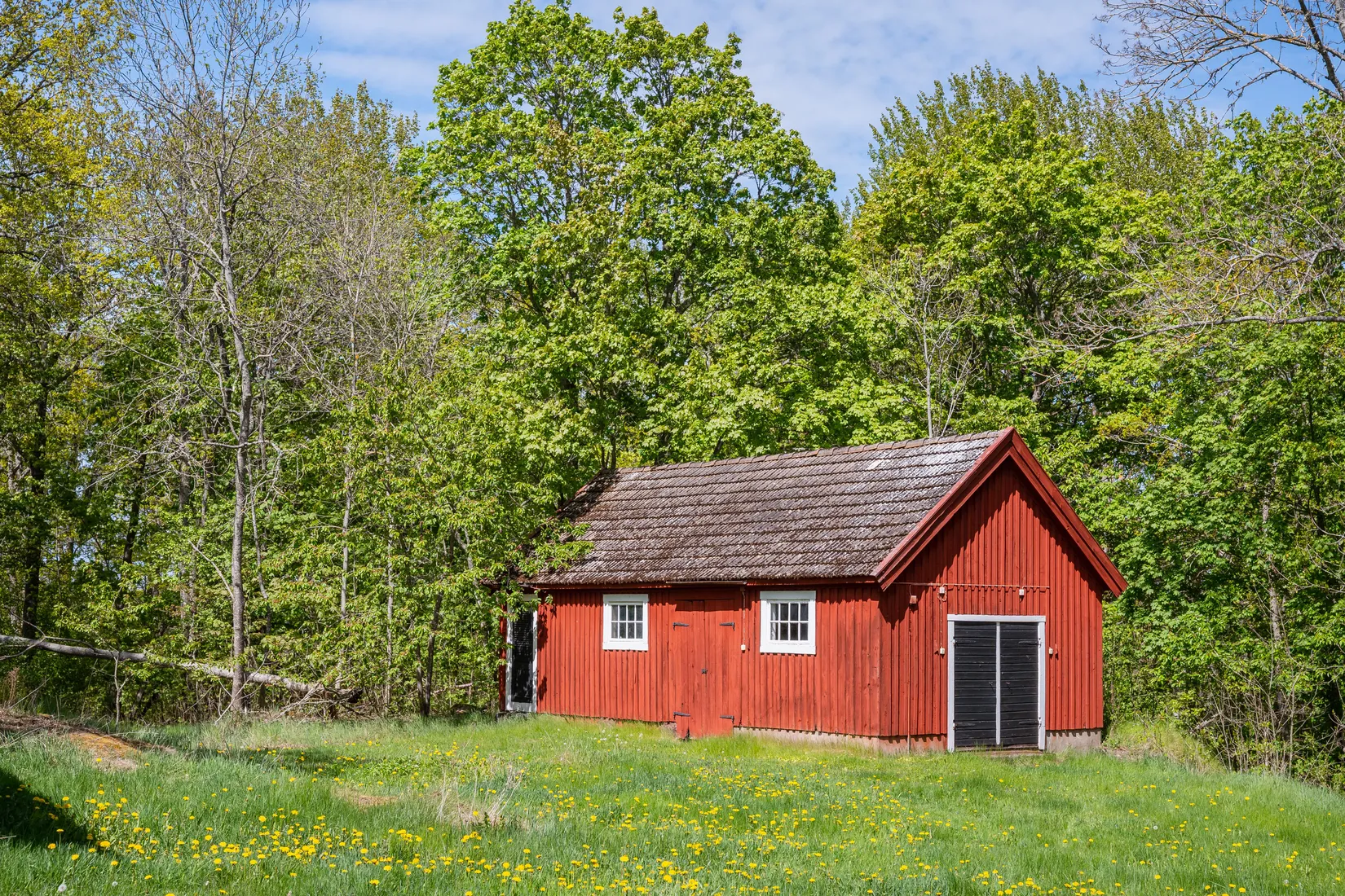 Gård/Skog, Mogata Djursnäs gård 1, Mogata, Söderköping