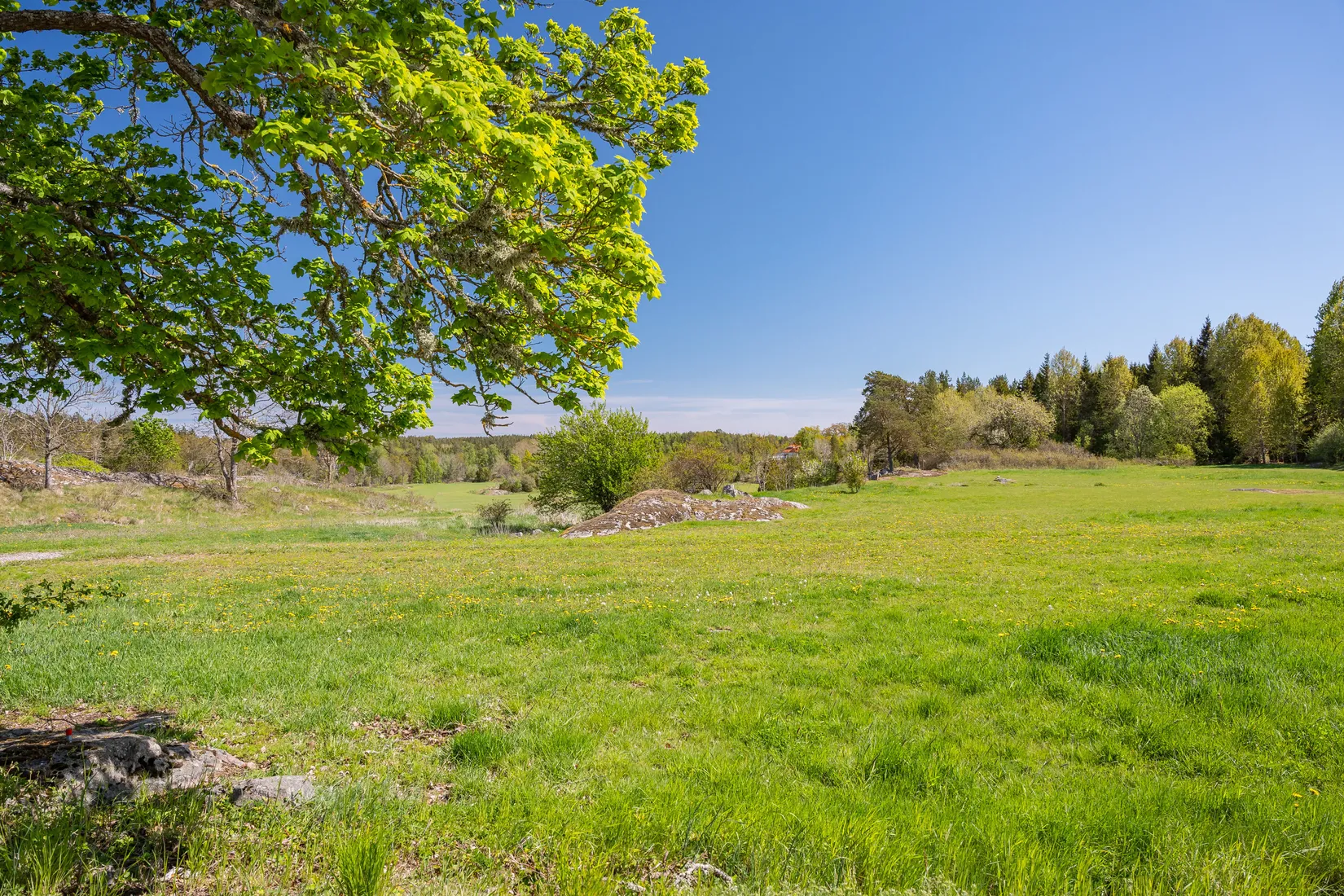 Gård/Skog, Mogata Djursnäs gård 1, Mogata, Söderköping