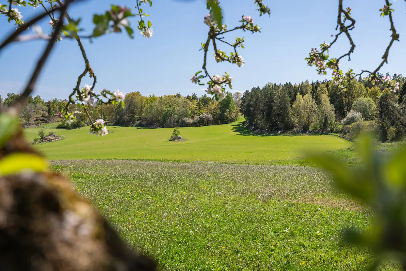 Gård/Skog, Mogata Djursnäs gård 1, Mogata, Söderköping