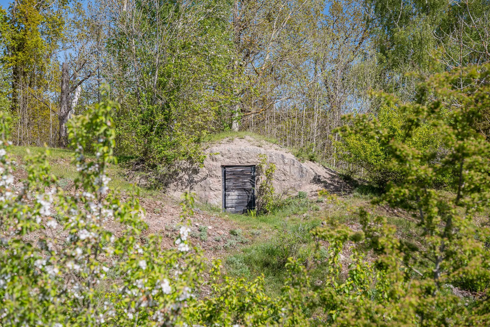 Gård/Skog, Mogata Djursnäs gård 1, Mogata, Söderköping