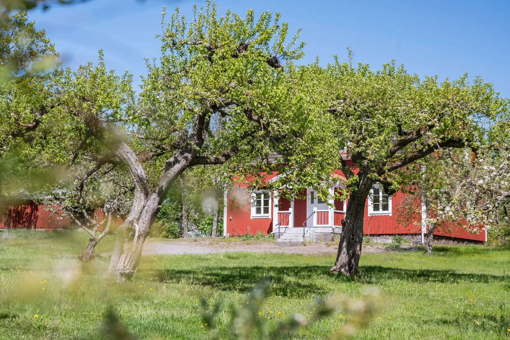 Gård/Skog, Mogata Djursnäs gård 1, Mogata, Söderköping