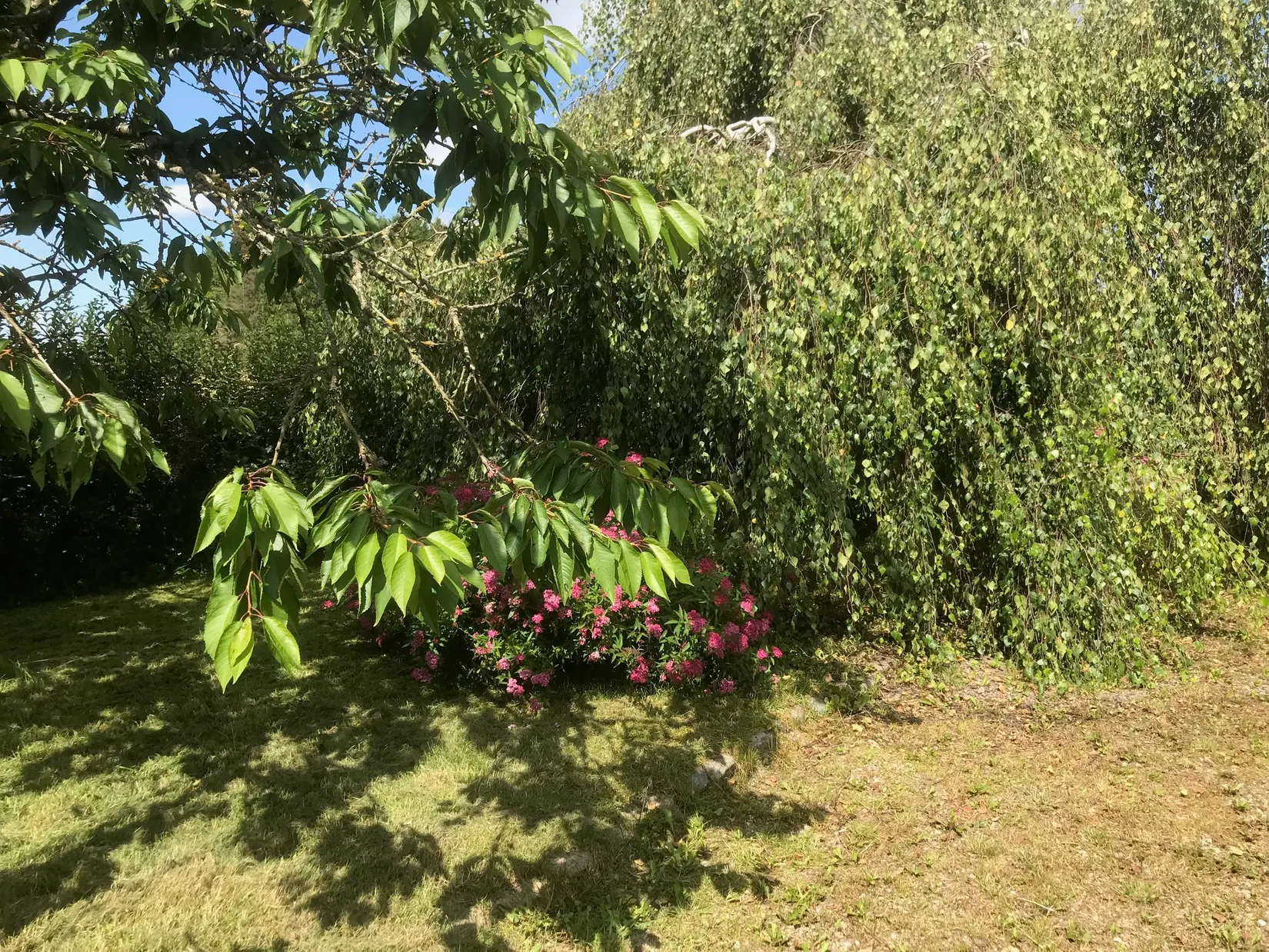 Villa, Gård/Skog, Östra Karaby 540, Eslöv