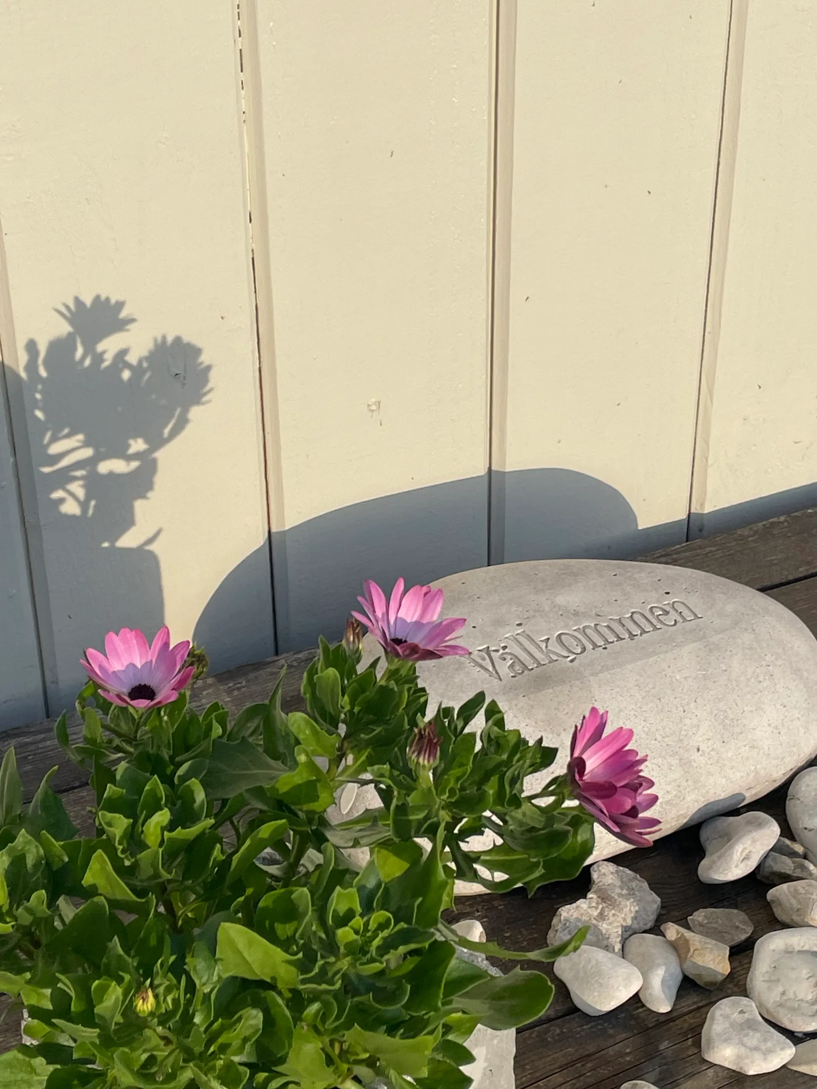 Fritidshus, Fide Bredkvie 135G, Fide, Gotland