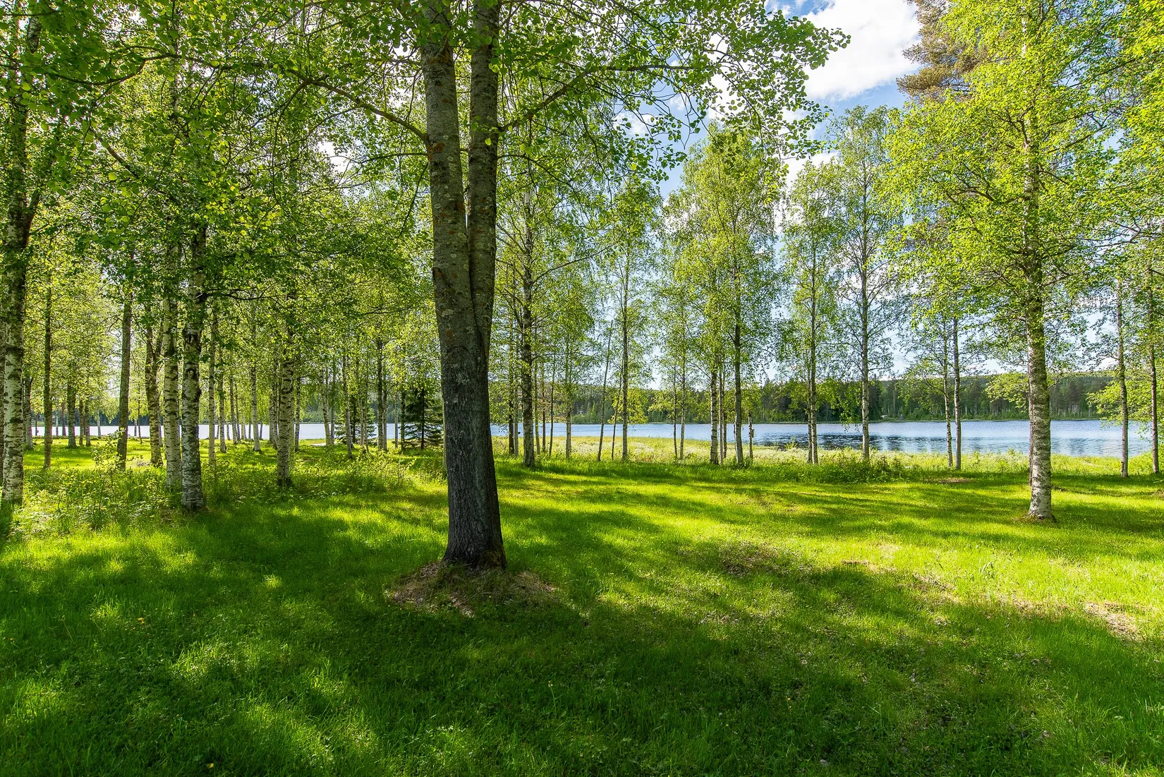 Villa, Storhäggsjö 131, Storhäggsjö, Umeå