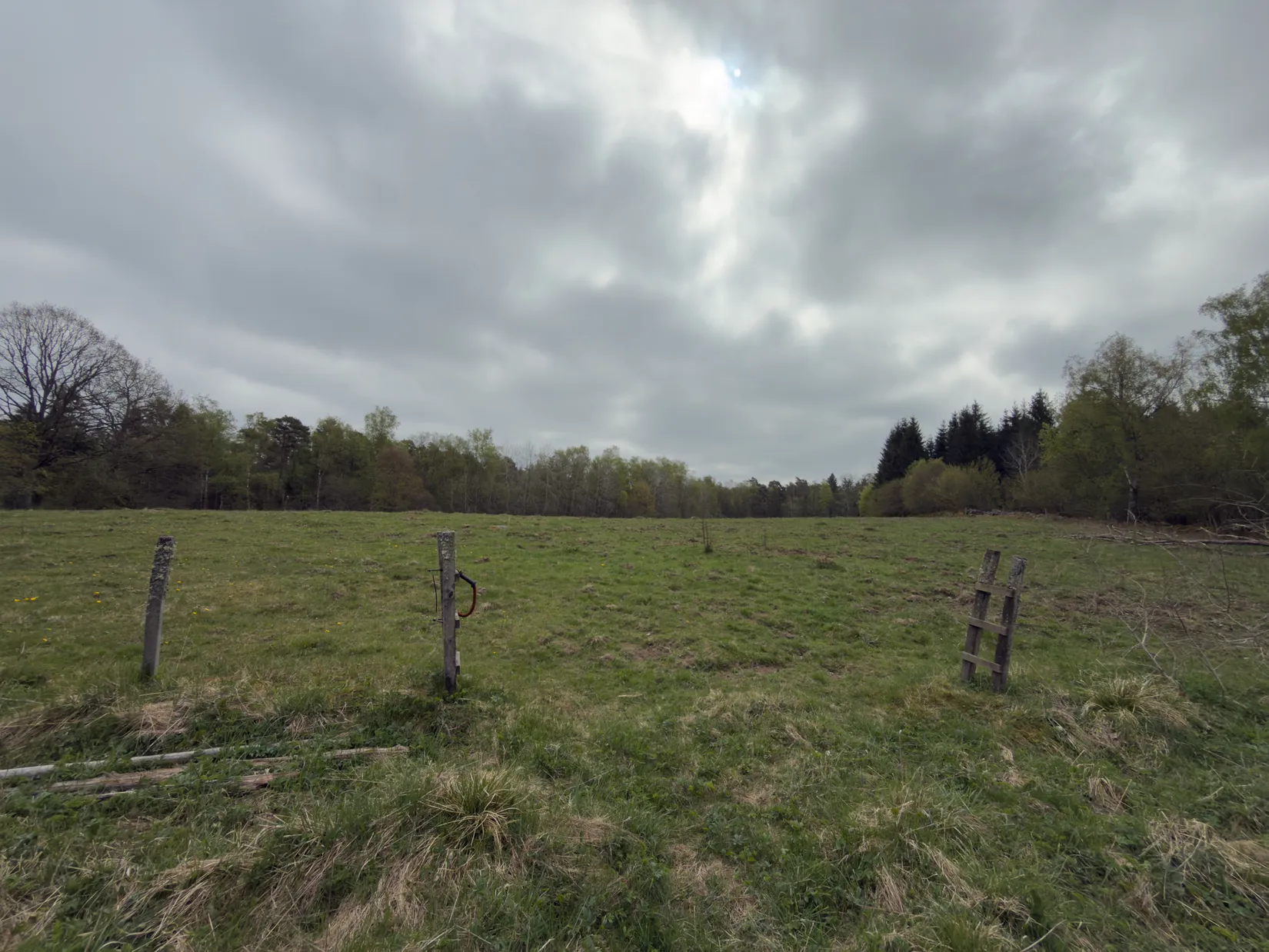 Gård/Skog, Torraröd 4960, Ljungbyhed, Klippan