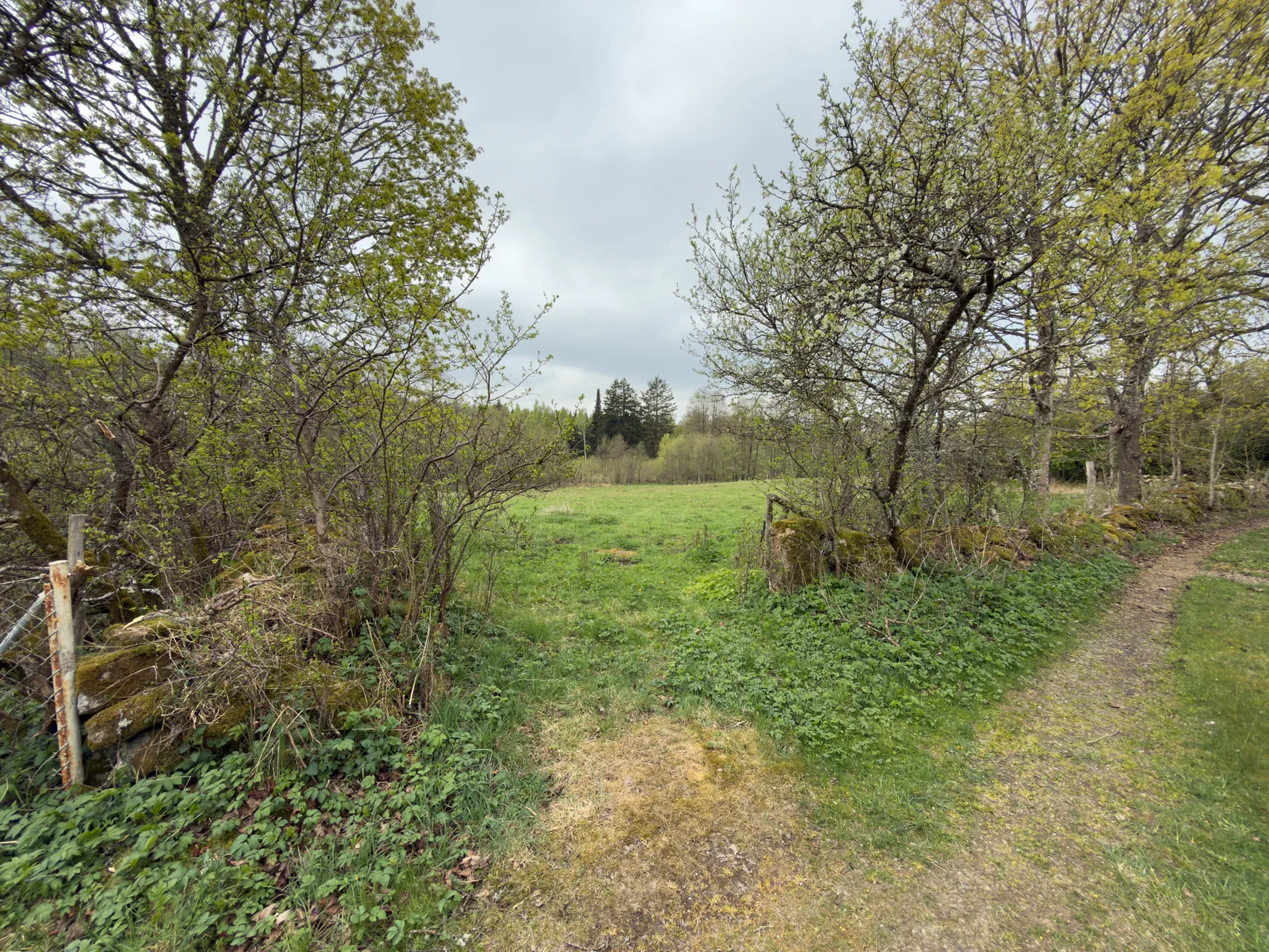 Gård/Skog, Torraröd 4960, Ljungbyhed, Klippan