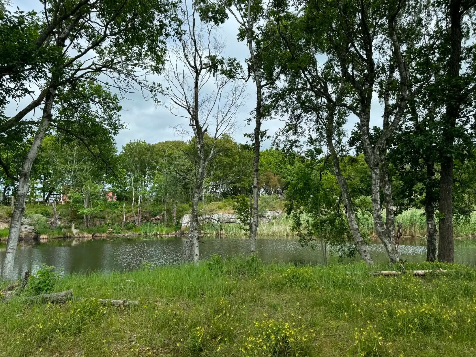 Övrigt, Knölaberget 132, Skrea Strand, Falkenberg