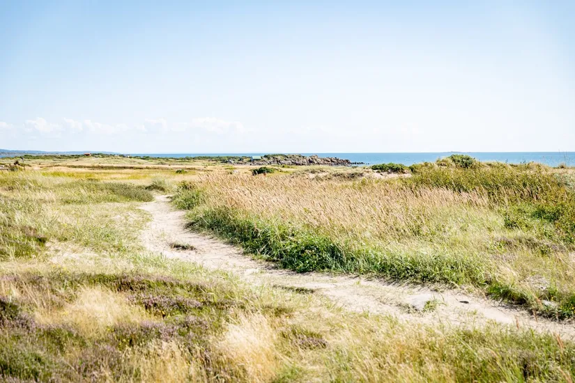 Övrigt, Knölaberget 132, Skrea Strand, Falkenberg