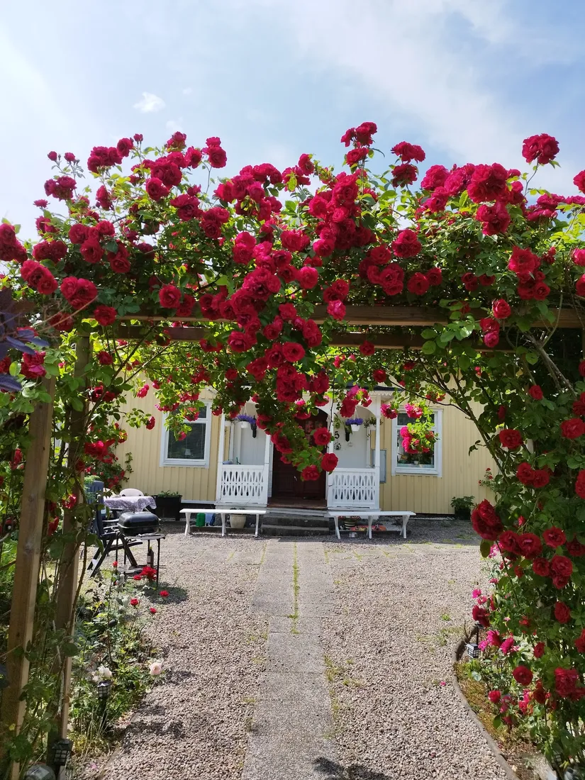 Villa, Skolvägen 5, Hycklinge, Kinda